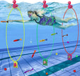 i-emporium Pool Toys - Games - Diving Through Swimming Rings - Kids & Adults